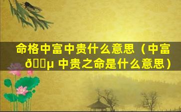 命格中富中贵什么意思（中富 🌵 中贵之命是什么意思）